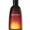 Dior Fahrenheit (100 ml Erkek Parfümü)